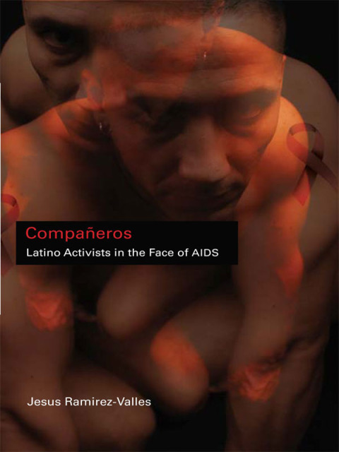 Cover image for book Compañeros