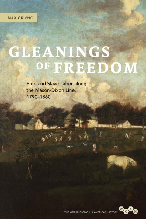 Cover image for book Gleanings of Freedom
