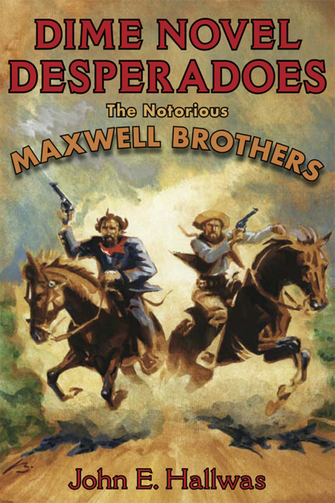 Cover image for book Dime Novel Desperadoes