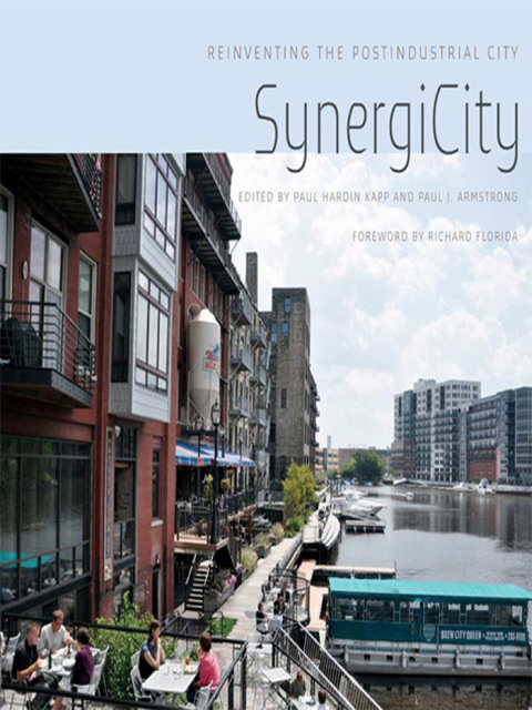 Cover image for book SynergiCity