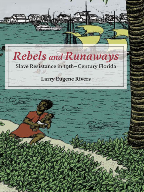 Cover image for book Rebels and Runaways