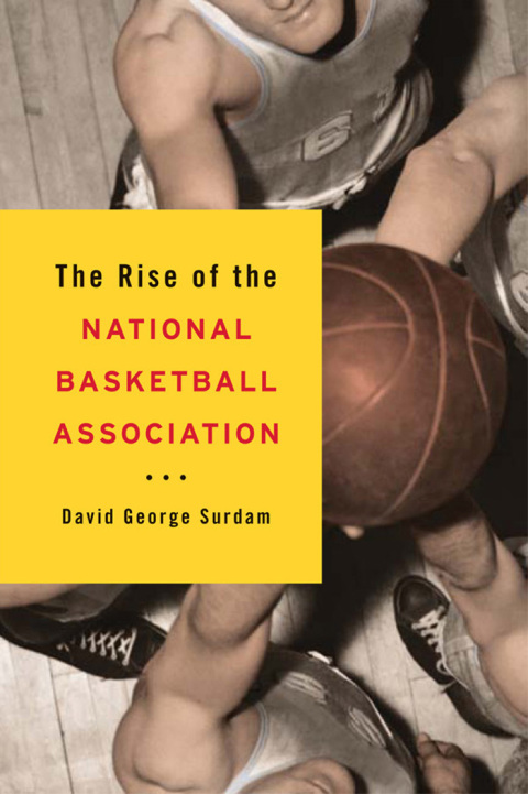 Cover image for book The Rise of the National Basketball Association