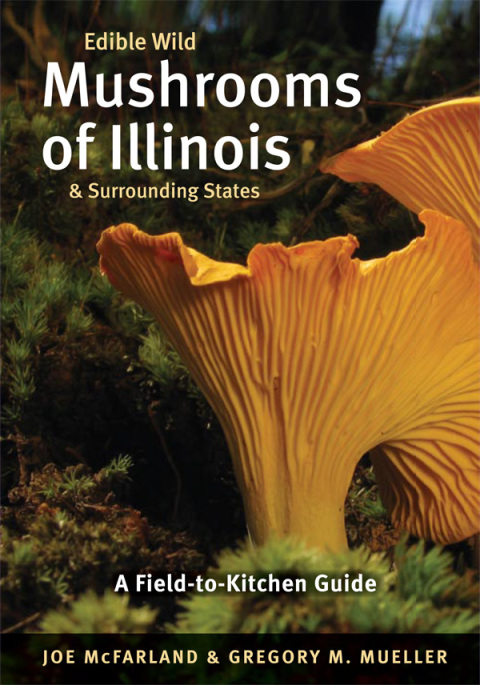 Cover image for book Edible Wild Mushrooms of Illinois and Surrounding States