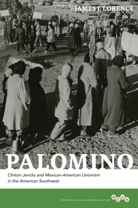 Cover image for book Palomino
