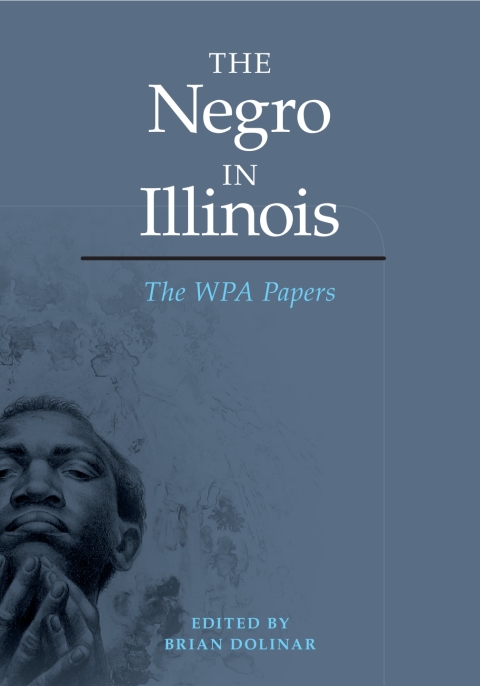 Cover image for book The Negro in Illinois