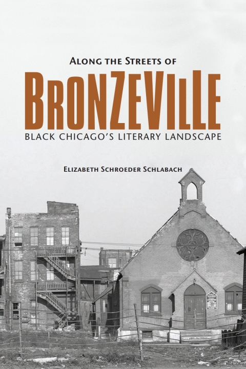 Cover image for book Along the Streets of Bronzeville