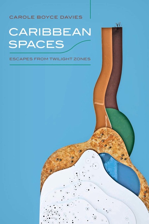 Cover image for book Caribbean Spaces