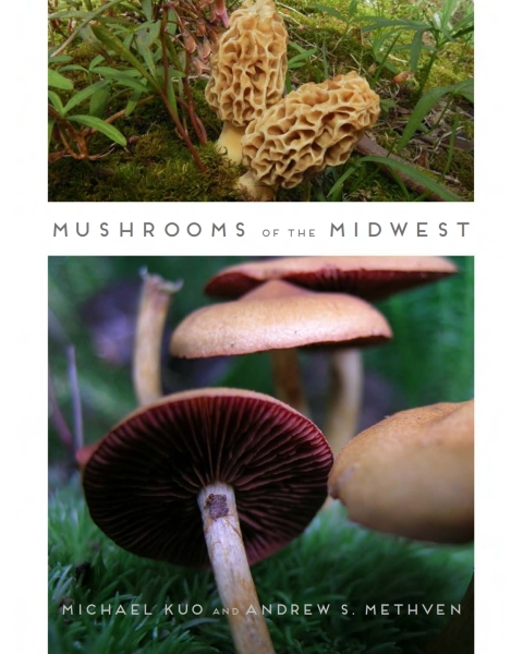 Cover image for book Mushrooms of the Midwest