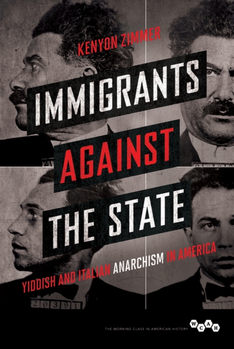 Cover image for book Immigrants against the State
