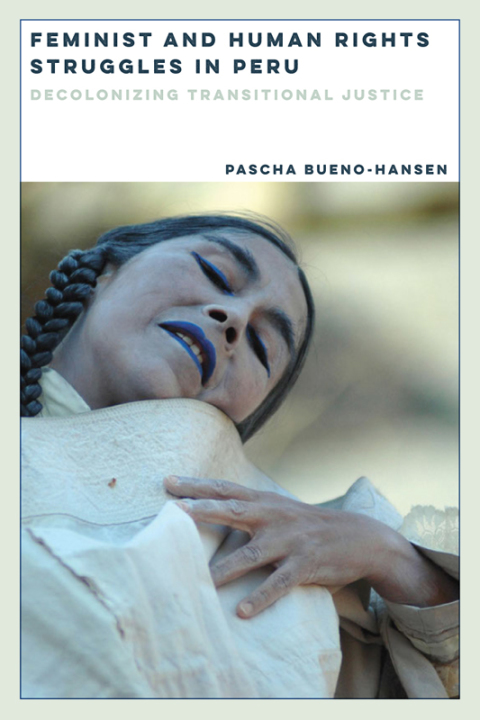 Cover image for book Feminist and Human Rights Struggles in Peru