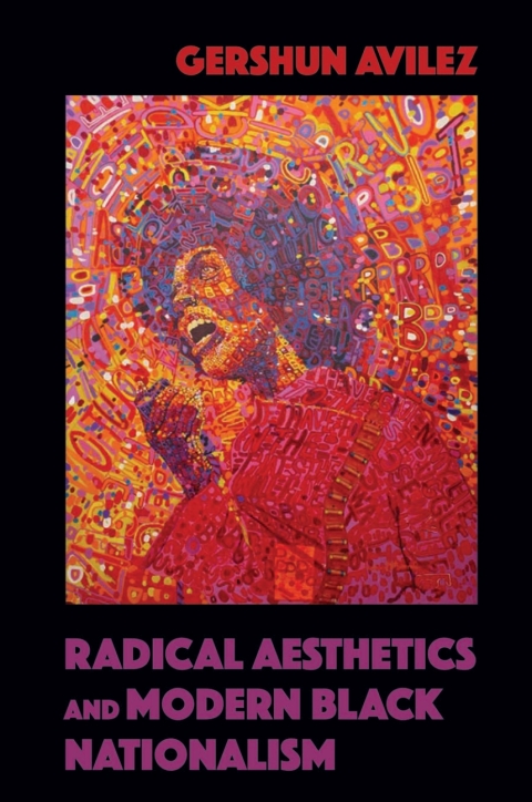 Cover image for book Radical Aesthetics and Modern Black Nationalism