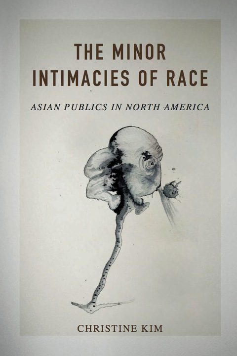 Cover image for book The Minor Intimacies of Race