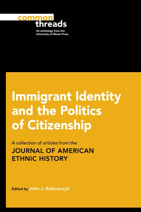 Cover image for book Immigrant Identity and the Politics of Citizenship