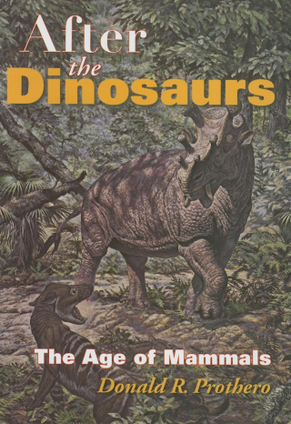 After the Dinosaurs
