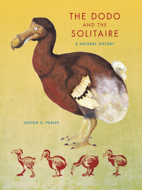 Cover image for book The Dodo and the Solitaire