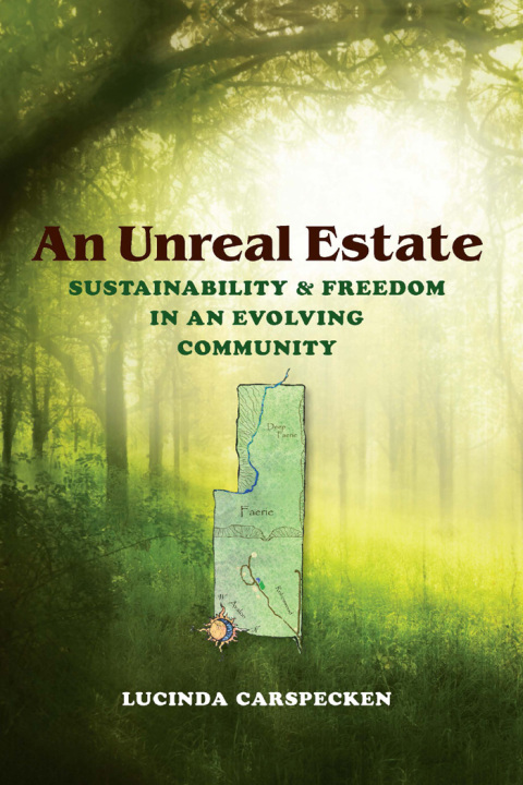 Cover image for book An Unreal Estate