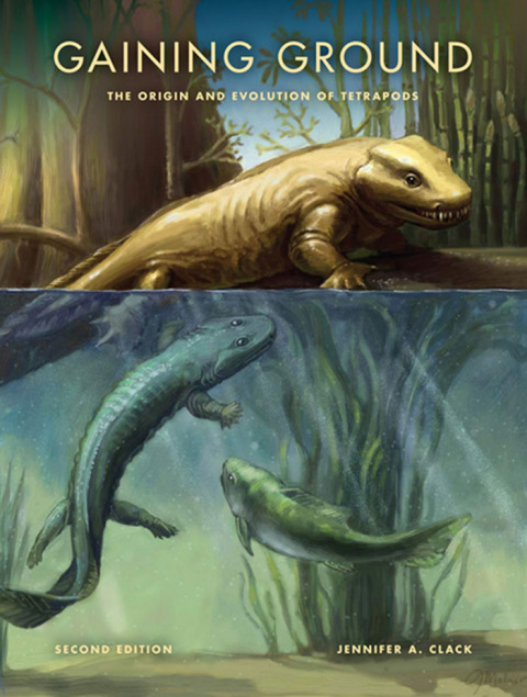 Cover image for book Gaining Ground