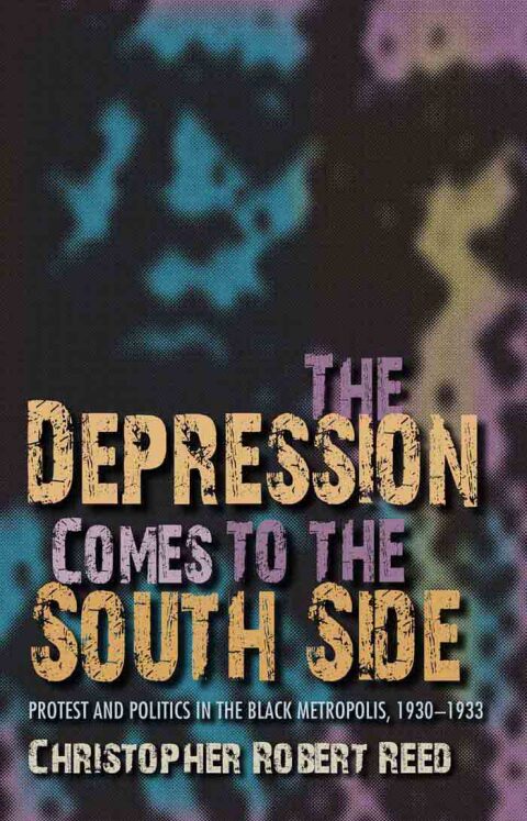 Cover image for book The Depression Comes to the South Side