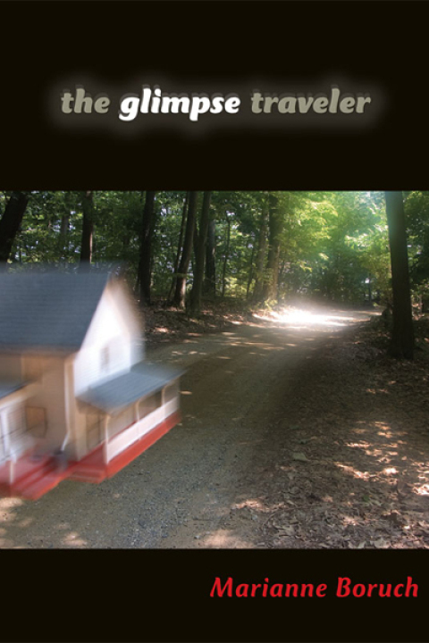 Cover image for book The Glimpse Traveler