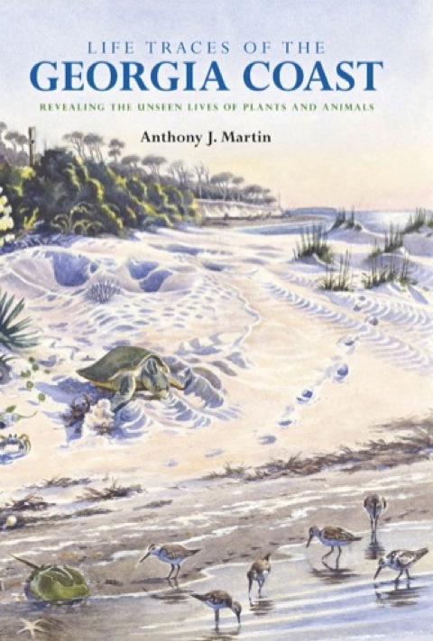 Cover image for book Life Traces of the Georgia Coast
