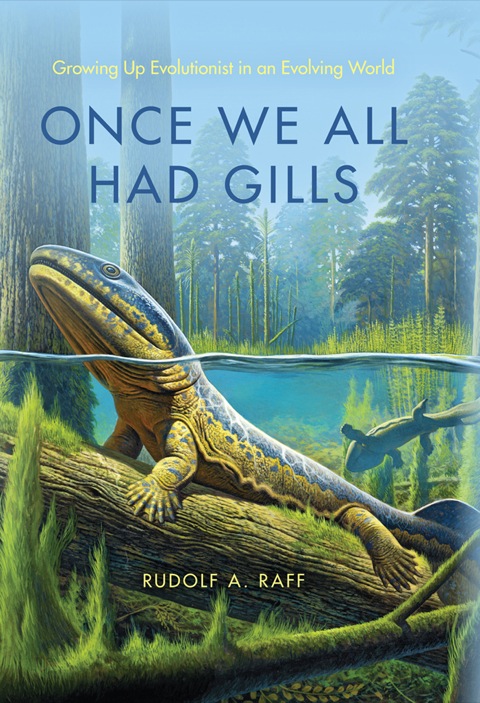 Cover image for book Once We All Had Gills