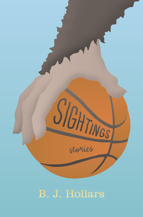 Cover image for book Sightings