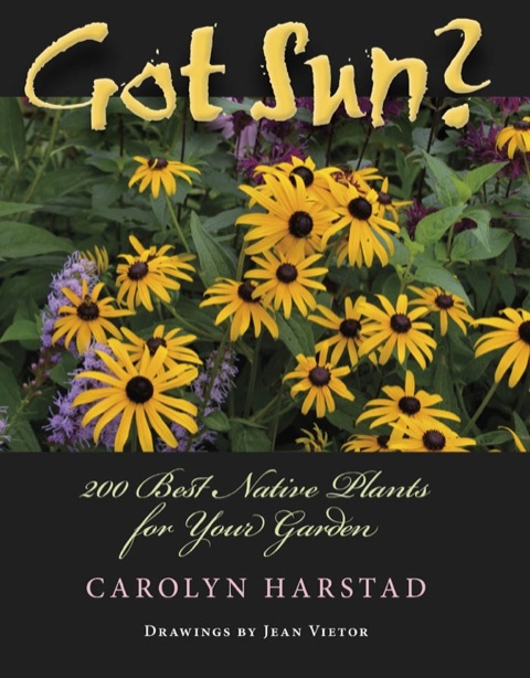 Cover image for book Got Sun?