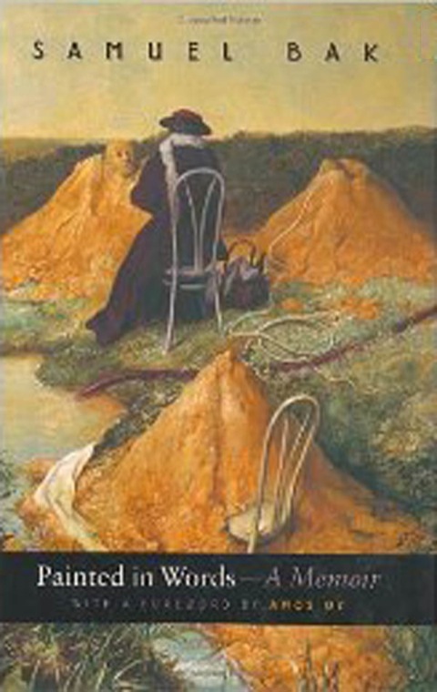Cover image for book Painted in Words