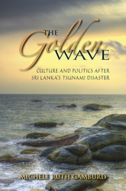 Cover image for book The Golden Wave