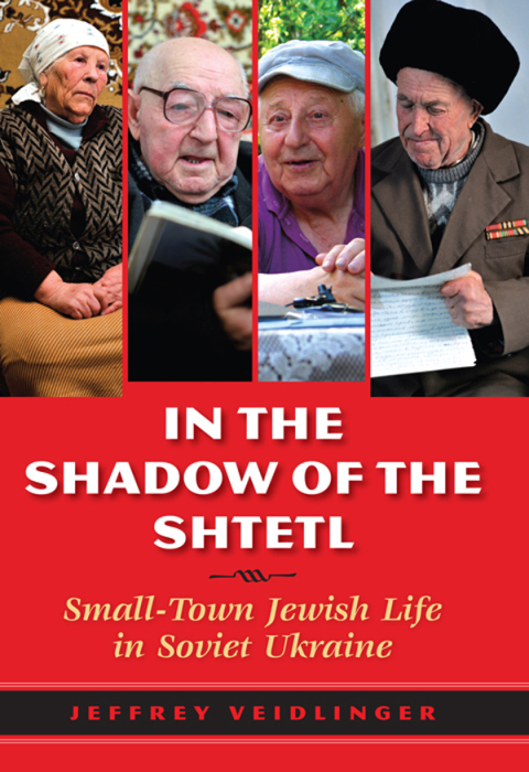 Cover image for book In the Shadow of the Shtetl
