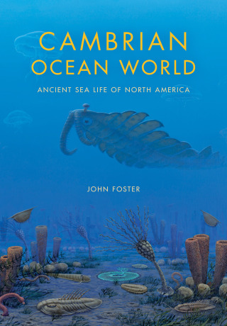 Cambrian Ocean World