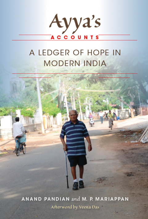 Cover image for book Ayya's Accounts
