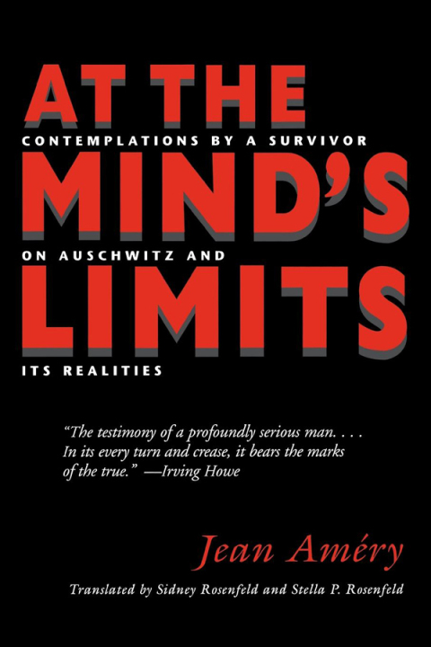 Cover image for book At the Mind's Limits