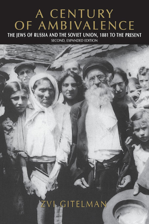 Cover image for book A Century of Ambivalence