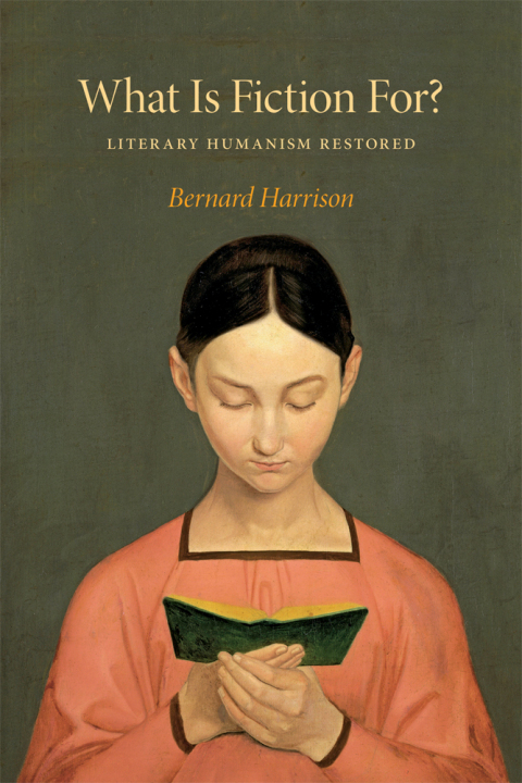 Cover image for book What Is Fiction For?