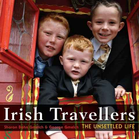 Cover image for book Irish Travellers