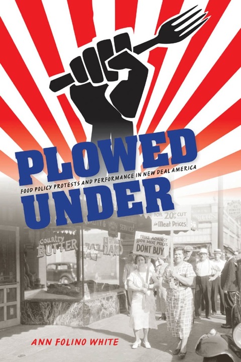 Cover image for book Plowed Under