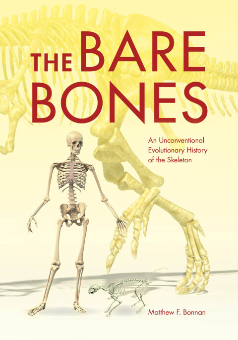 Cover image for book The Bare Bones