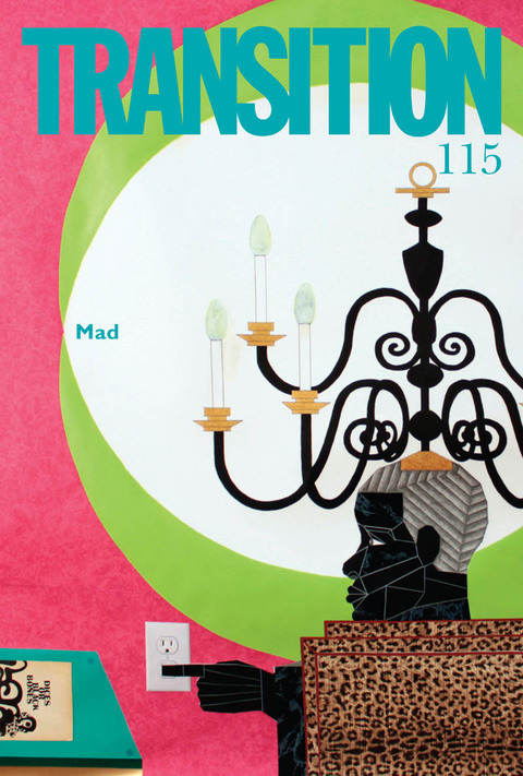 Cover image for book Transition 115