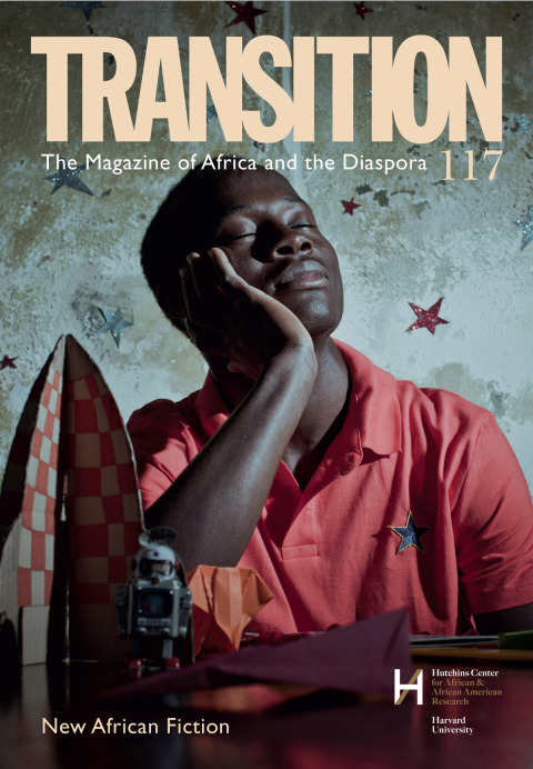 Cover image for book Transition 117