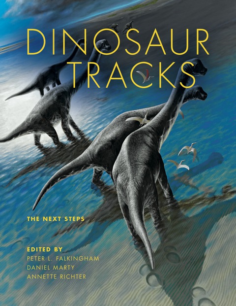 Cover image for book Dinosaur Tracks
