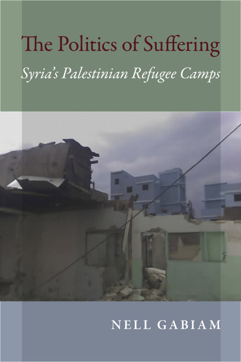 Cover image for book The Politics of Suffering