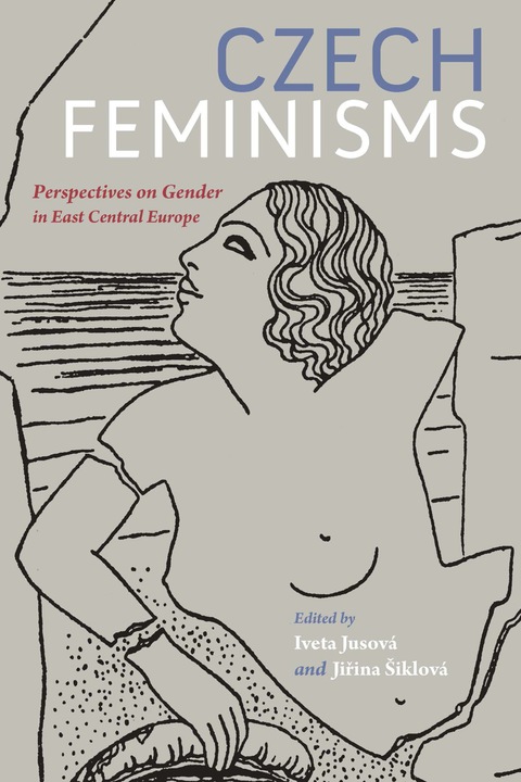 Cover image for book Czech Feminisms