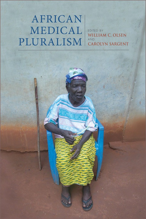 Cover image for book African Medical Pluralism