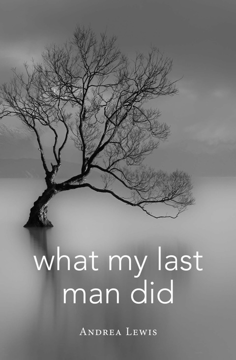 Cover image for book What My Last Man Did