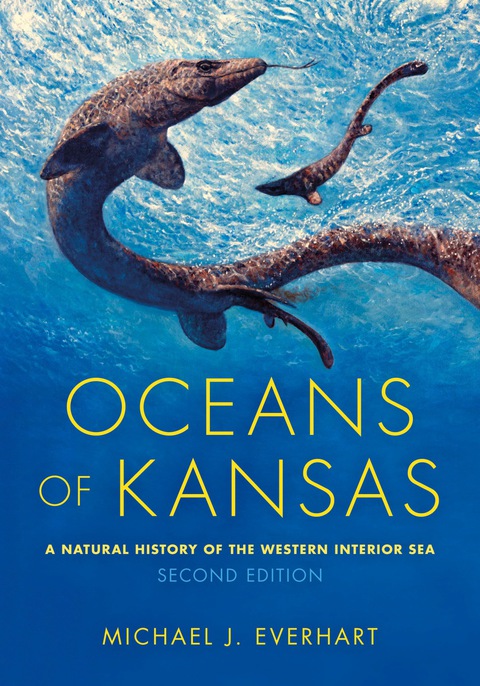 Cover image for book Oceans of Kansas