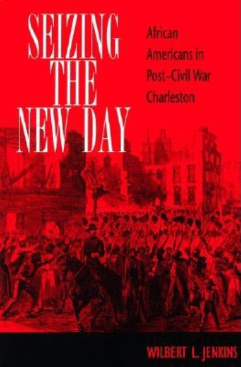 Cover image for book Seizing the New Day
