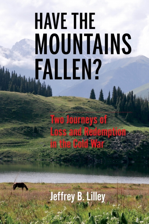 Cover image for book Have the Mountains Fallen?