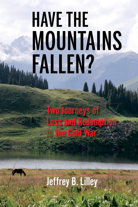 Cover image for book Have the Mountains Fallen?