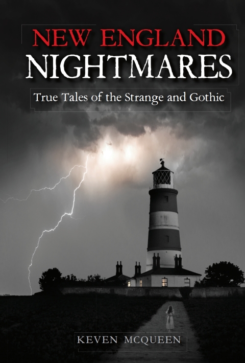 Cover image for book New England Nightmares